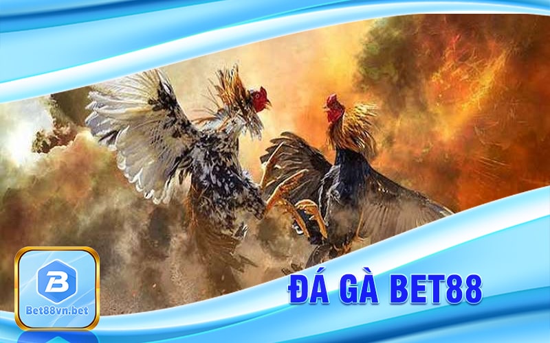 Đá gà Bet88