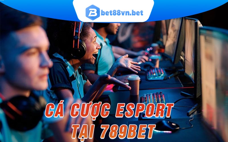 Cá cược esport